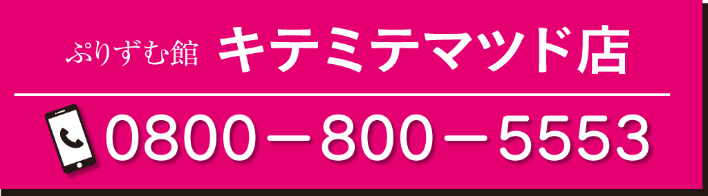 ぷりずむ館　松戸